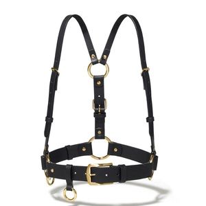Ārdēo studios black and brass harness. Never worn!